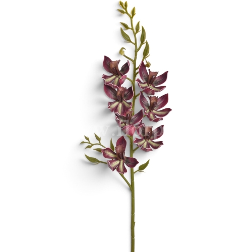 Orchidea pianka burgundy (LEV034)