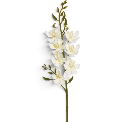 Orchidea pianka white (LEV034)