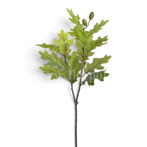 Dębowa gałązka green (MAG1024)