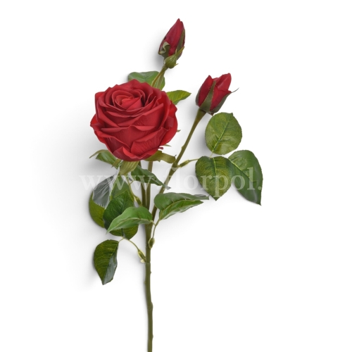 ab3e8f9099b79ab0e4a14cc0cb8e466d