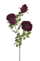 IMG_1965.png