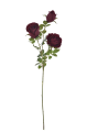 IMG_1966.png