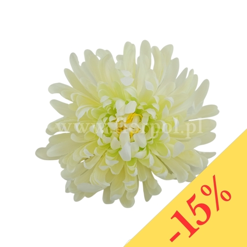 Chryzantema wyrobowa - head crab 12szt #3373 cream/green  (SUN775)