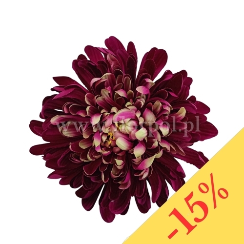 Chryzantema wyrobowa - head crab 12szt #3375 burgundy green (SUN775)