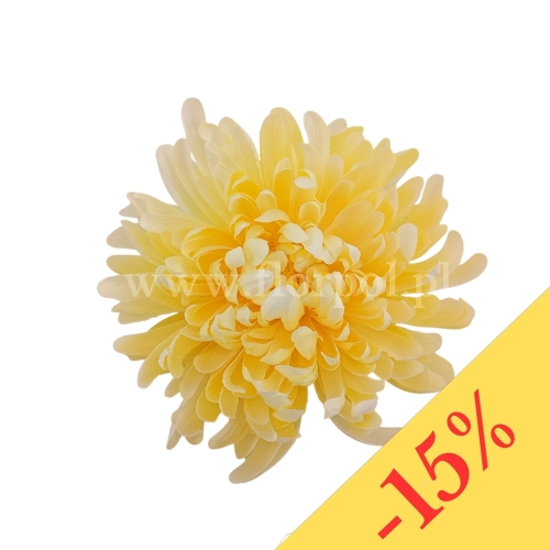 Chryzantema wyrobowa - head crab 12szt #2869 lt yellow (SUN775)