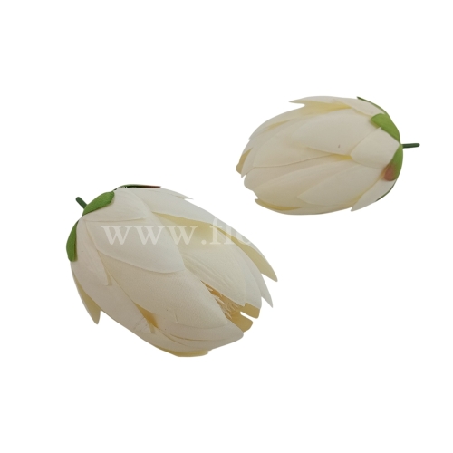 Protea wyrobowa 12szt krem (T60-25-4311H)