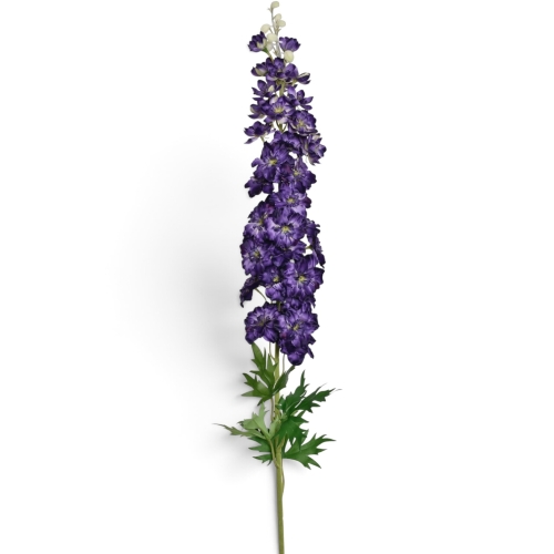 Ostróżka pojedyncza 3779;PURPLE VIOLET (SUN912)