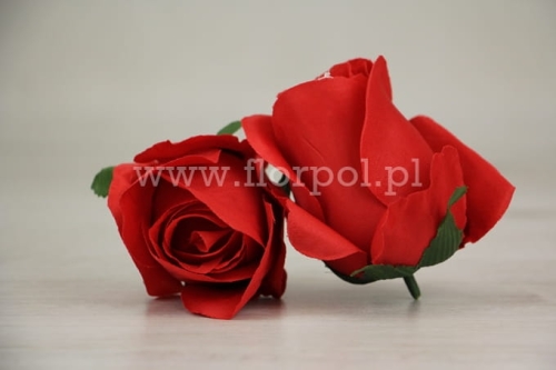 1f79a731c8521ddda3da8c837aec54f0