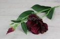 89bcbf63f35e763abdf9777504a3c6df