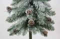 SOMDSZlightsnow 002.JPG