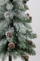 SOMDSZlightsnow 007.JPG