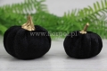dynia welurowa 23201.JPG