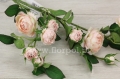 1936d4b35d9078c3e6affd6a8c6fa836
