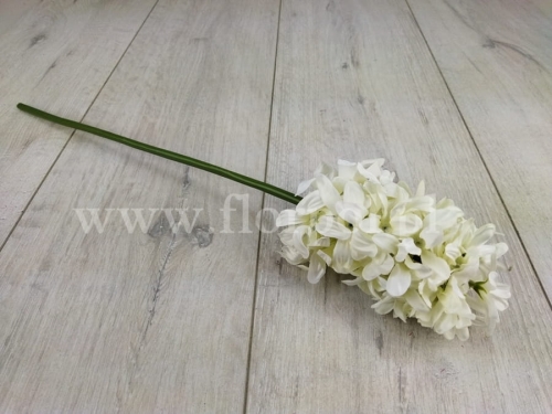 hiacynt pojedynczy 1szt ecru (AJ62128)