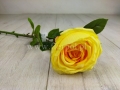 62bd58fea3aa907132c19d7d18aaf0a3