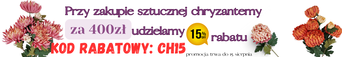 Chryzantema -15